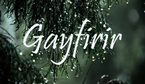 gayfirir