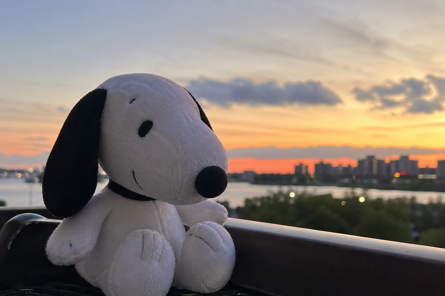 Snoopy PFP