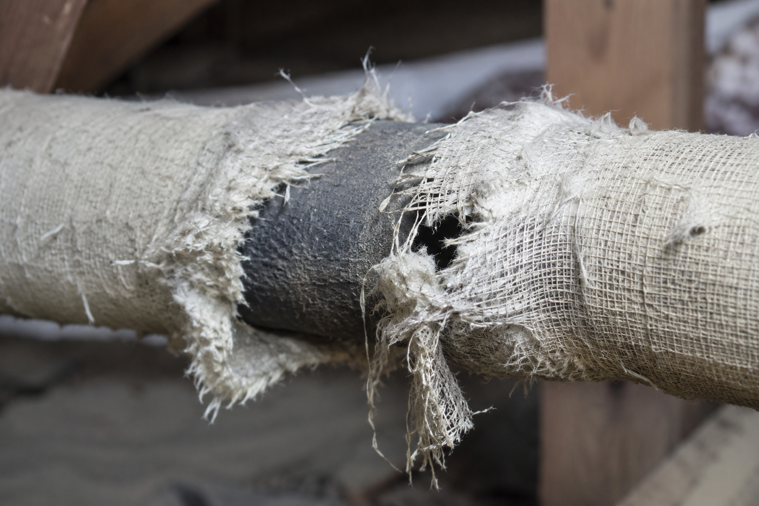 asbestlint