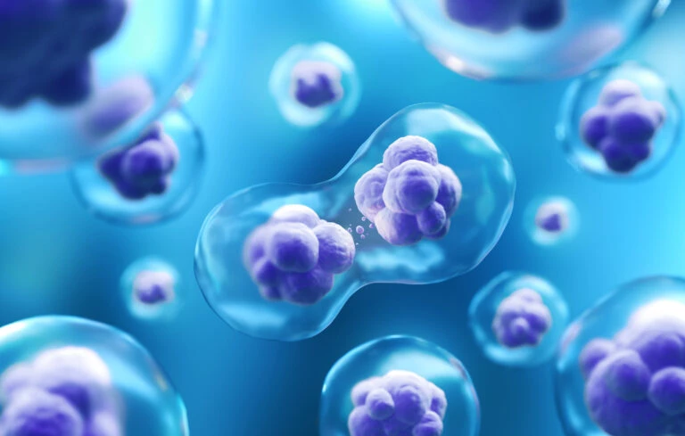 Stem Cell Overview and Definition: Understanding the Future of Regenerative Medicine
